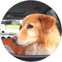 Sharon Reed profile picture